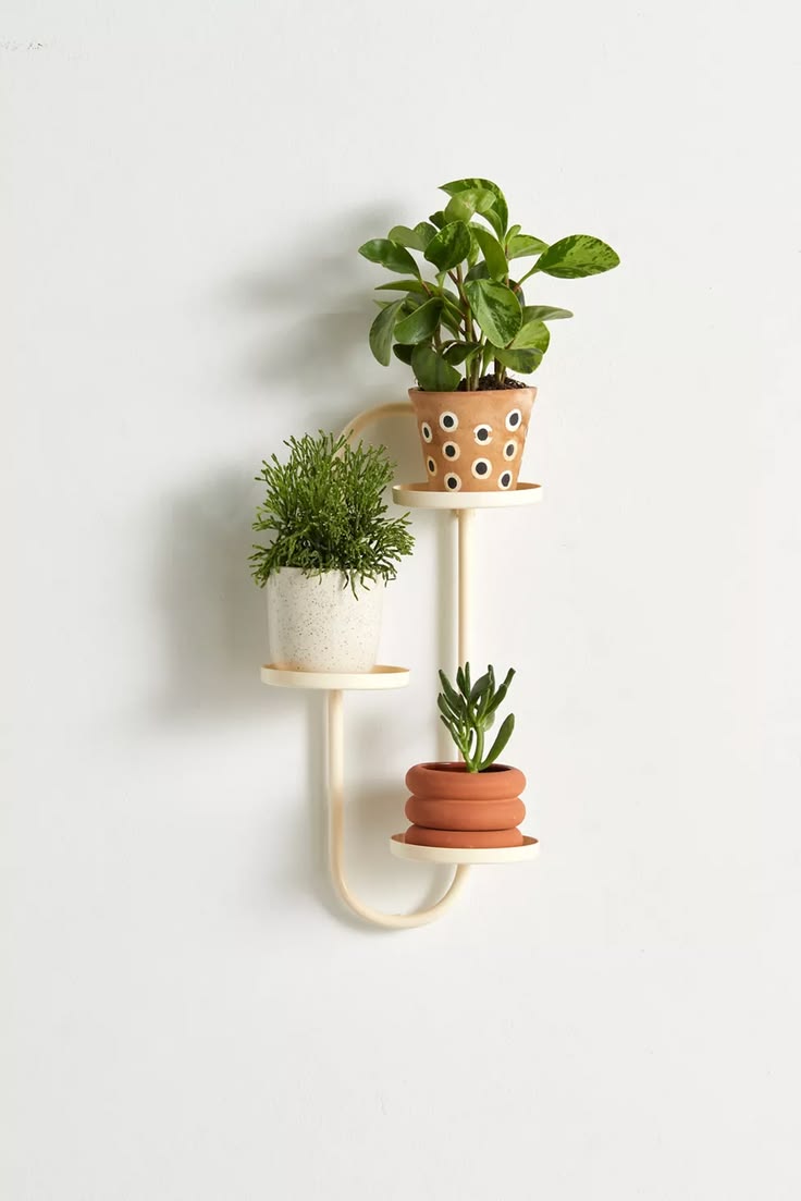 Hanging Flower Pot Stand