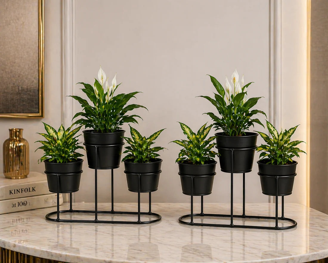 Flower pot stand