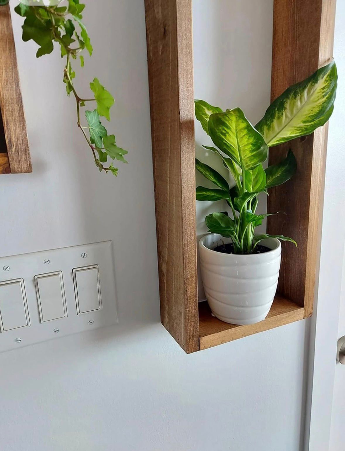 Modern Wooden Wall Plant Shelf Set – Vertical Box Frame Planter Display (Set of 2)