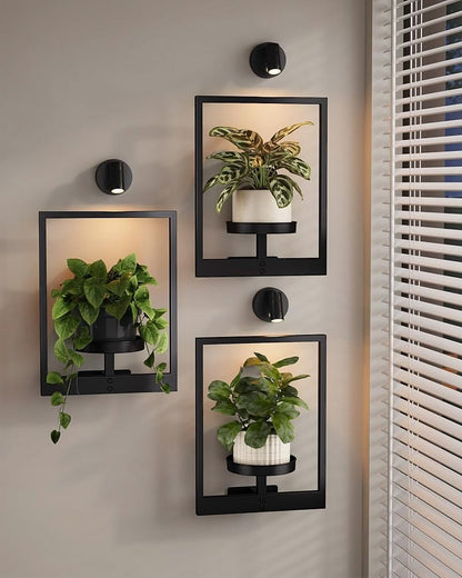 Luxury Wall Plant Holder Frame Set of 3