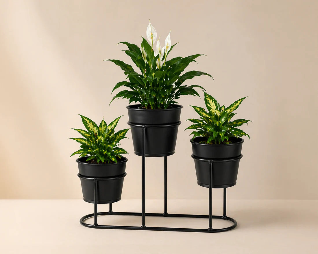 Flower pot stand