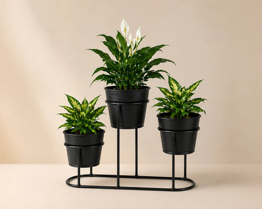 Flower pot stand
