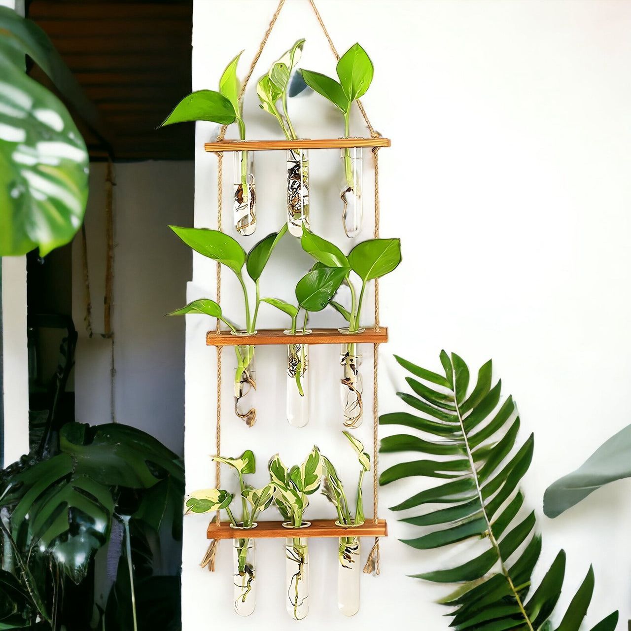Modern Hanging Test Tube Planter – 3 Tier Wooden Wall Vase with Glass Tubes
