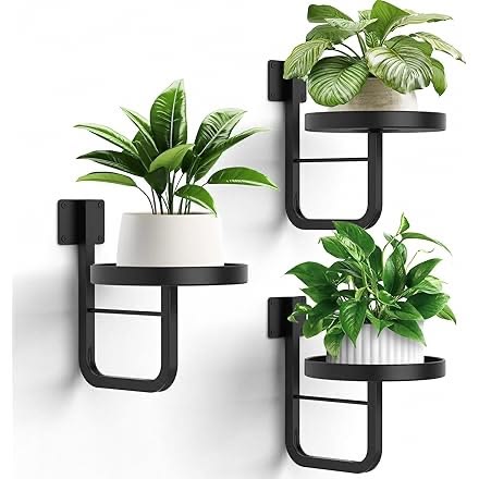 Aesthetic Wall Planter Stand Set