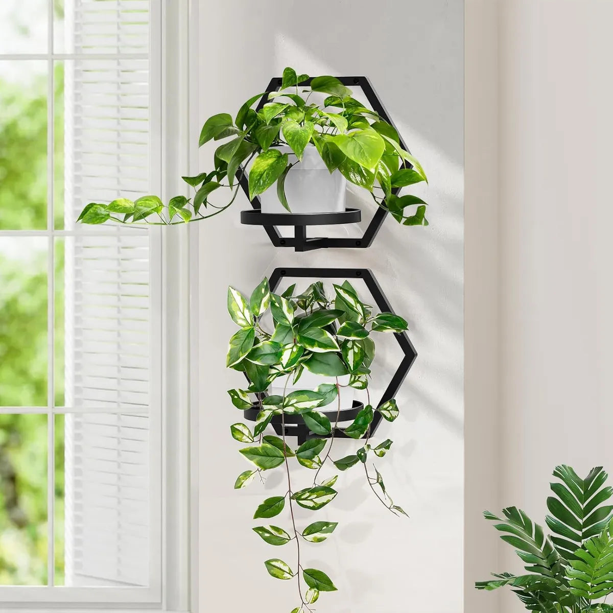 Westons Craft Wall Planter Set of 3 – Modern Metal Hexagon Hanging Plant Holders