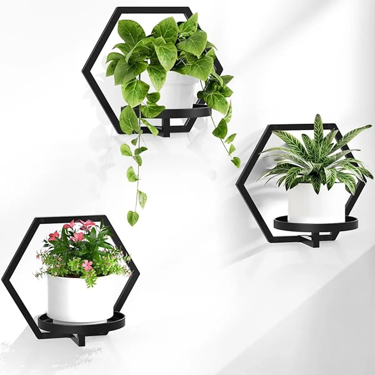 Westons Craft Wall Planter Set of 3 – Modern Metal Hexagon Hanging Plant Holders