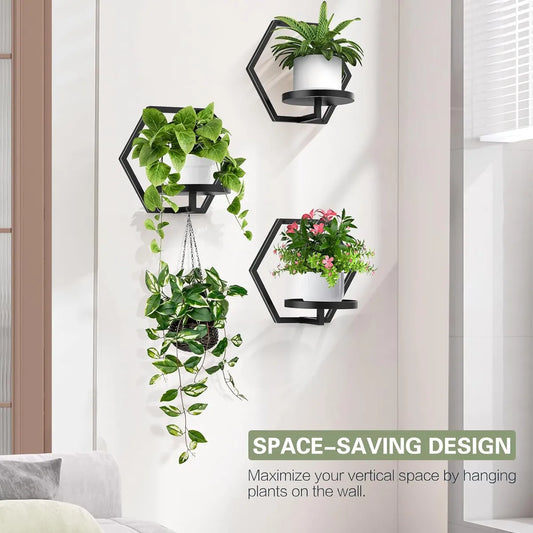 Westons Craft Wall Planter Set of 3 – Modern Metal Hexagon Hanging Plant Holders