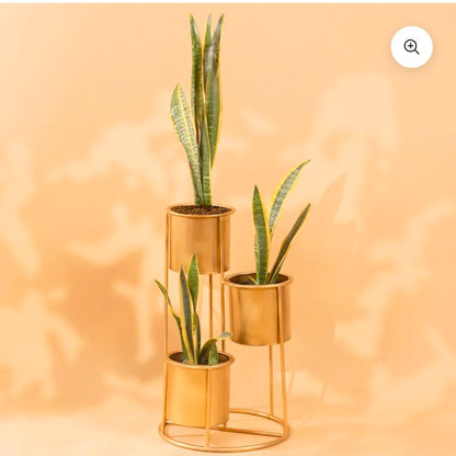 Flower pot stand