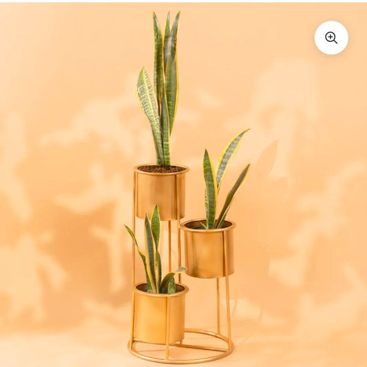Flower pot stand