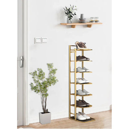 Luxury Metal Shoe Storage Stand